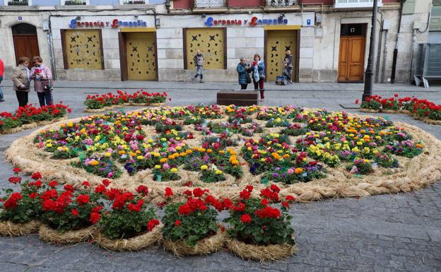 Las flores ganan la batalla al mal tiempo