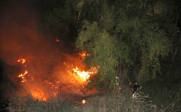 La orilla del Carrión arde en Palencia en un espectacular incendio originado por la quema de pelusas