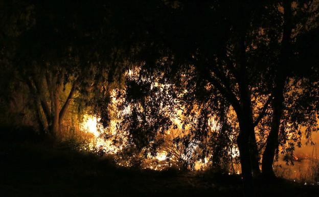 «Entiendo que la gente esté enfadada», afirma el autor del incendio en la orilla del Carrión de Palencia