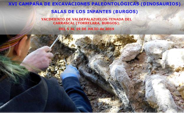 La XVI Campaña de Excavaciones Paleontológicas en La Demanda se desarrollará del 5 al 19 de julio en el yacimiento de Torrelara