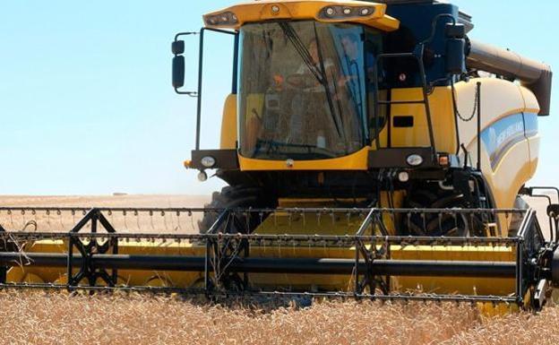 Los agricultores esperan que la lluvia riegue los campos para salvar la campaña