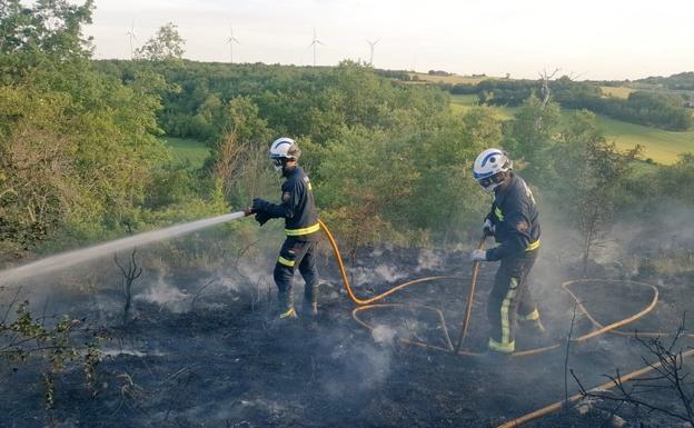 Los Bomberos de Burgos sofocan un incendio forestal en Carcedo de Burgos