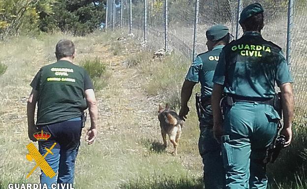 La Guardia Civil inspecciona la comarca de La Demanda en busca de cebos envenenados