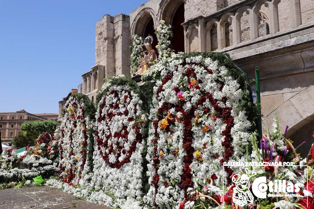 Búscate en la ofrenda de flores a Santa María La Mayor