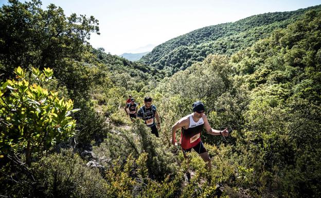 La garrapata, el enemigo del corredor de caminos y montañas