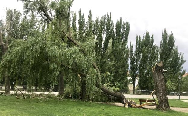 El 112 gestiona más de 90 emergencias en tres horas relacionadas con las tormentas y las fuertes rachas de viento