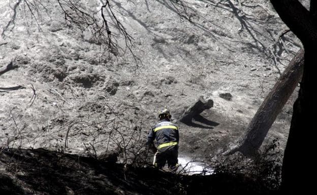 El incendio de Ceuta calcina más de 40 hectáreas de alto valor ecológico