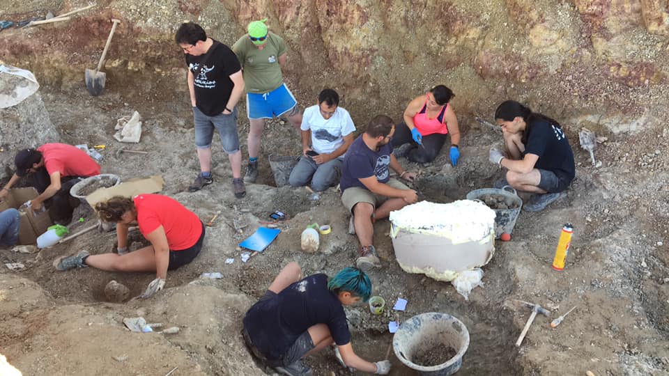 Los trabajos de este verano apuntan a que el yacimiento de Torrelara necesitará otra campaña