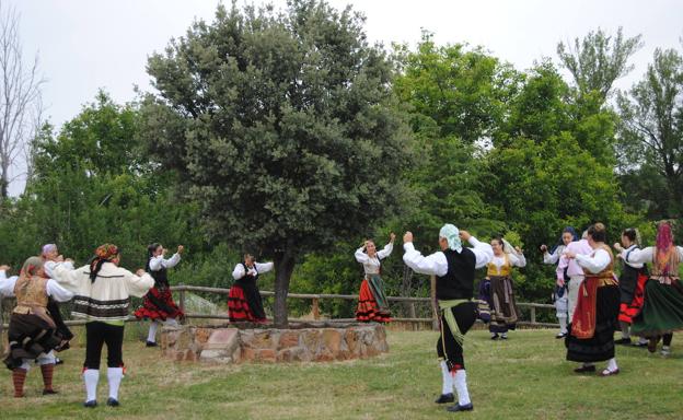 El 'Árbol de la provincia' sella la unión de miles de pueblos de Burgos en su 10º aniversario