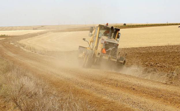 Constituidos los grupos de trabajo para la eliminación de topillo en las provincias de Palencia, Valladolid, León, Zamora y Burgos