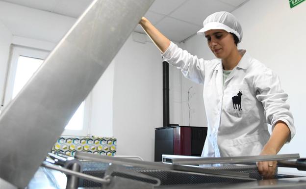 Los productores de leche se pasan al queso 