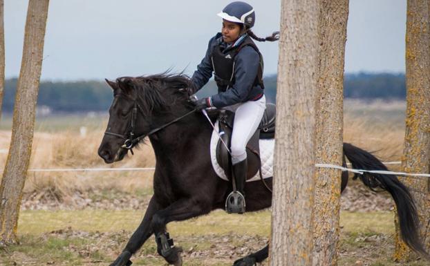 La raza burgalesa de caballo losino participará en el Campeonato Europeo Juvenil de Trec