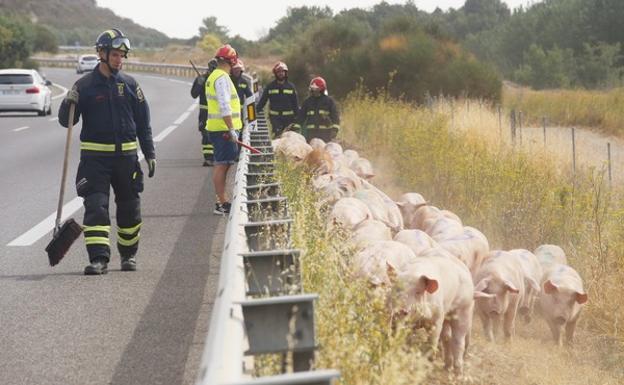 Seis heridos leves en una colisión por alcance entre un camión y un autobús en Palencia