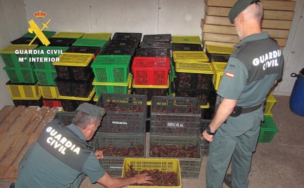 La Guardia Civil aprehende 718 Kg de cangrejo rojo en un polígono de Burgos