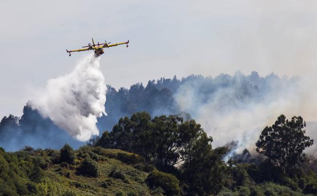 El incendio de Canarias se debilita tras arrasar 12.000 hectáreas