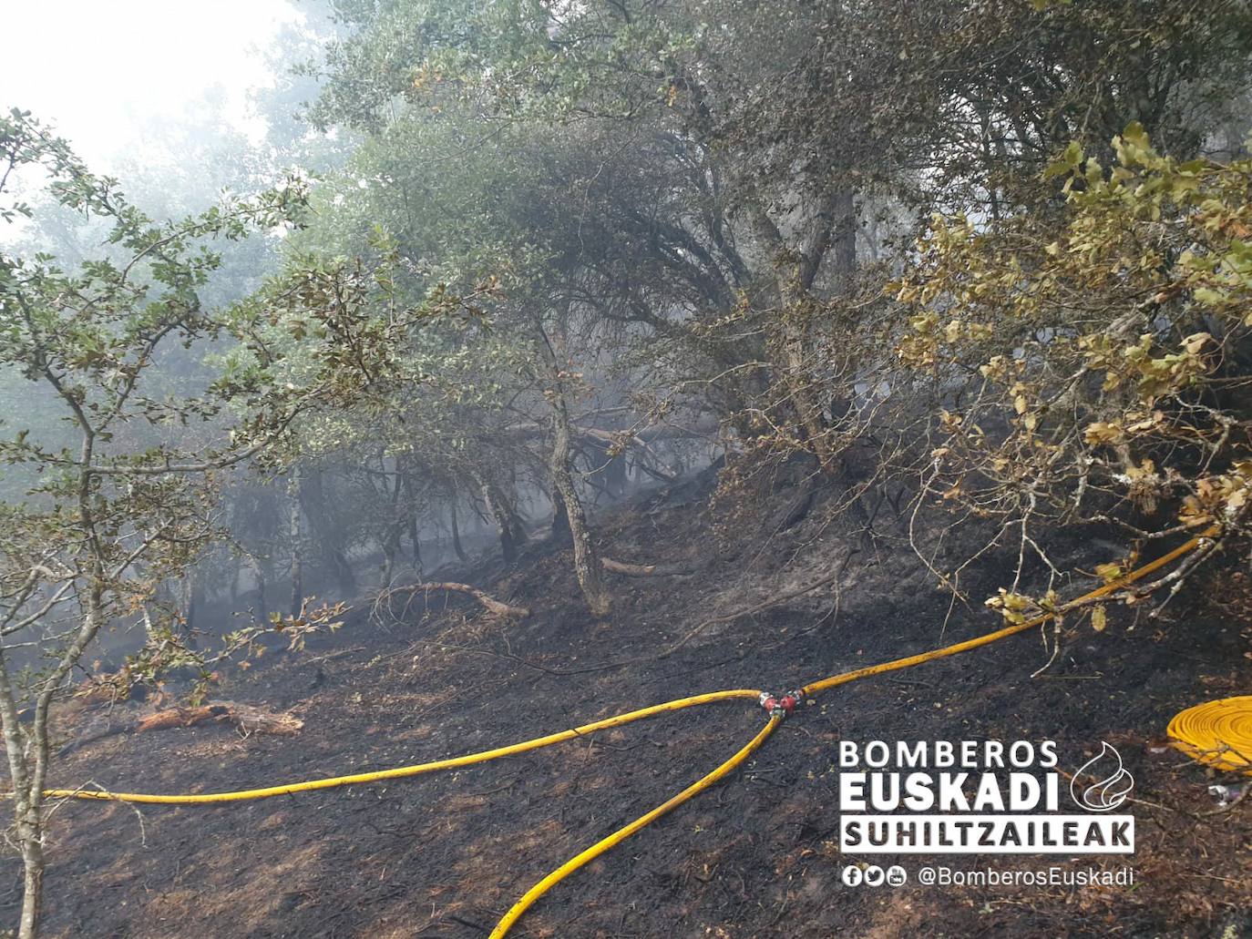 Medios burgaleses colaboran en la extinción de un fuego en el Parque Natural de Valderejo (Álava)