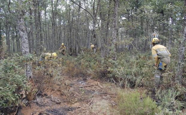 CCOO vuelve a denunciar la «precariedad laboral» de las cuadrillas forestales de la Diputación