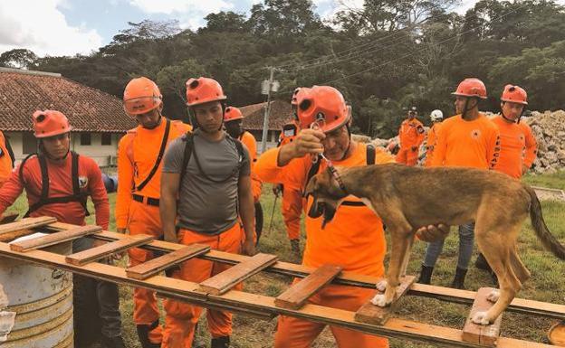 Y que le gusten los perros: la Unidad Canina de Salvamento del GREM busca voluntarios para renovarse y seguir siendo un referente internacional