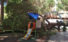 Un pino de 15 metros se desploma sobre el parque infantil de Regino