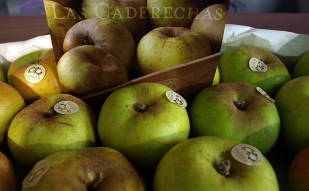 Caderechas prevé una merma del 50% de la cosecha de manzana reineta