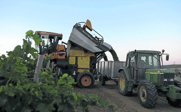 Las bodegas exportadoras de Castilla y León temen el efecto de los aranceles de Trump