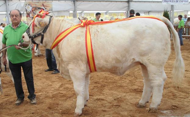 El burgalés Mariano de Diego Hernández se proclama supercampeón del Concurso Nacional de Ganado Charolés