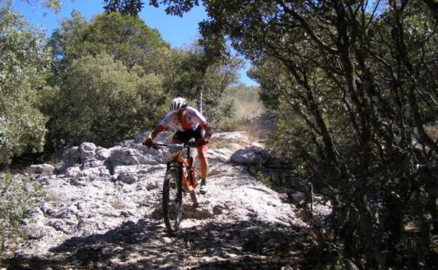 La Demandasaurus volverá a tomar la sierra este fin de semana