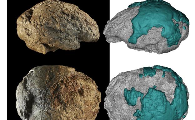 Emiliano Bruner, del CENIEH, coordina un estudio que da a conocer el molde natural del cerebro neandertal de Gánovce