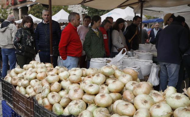 La sequía marca la producción de cebolla horcal que rozará las seis toneladas