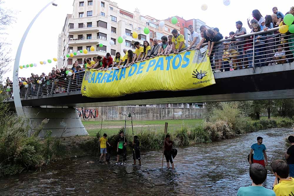 VI Carrera de patitos por el río Arlanzón