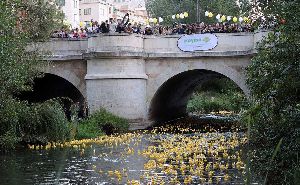 Patitos al agua por dos buenas causas