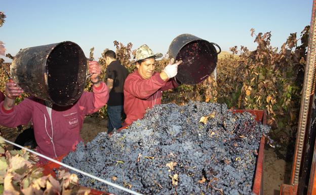 Burgos gana más de un millar de afiliados extranjeros a la Seguridad Social en un año