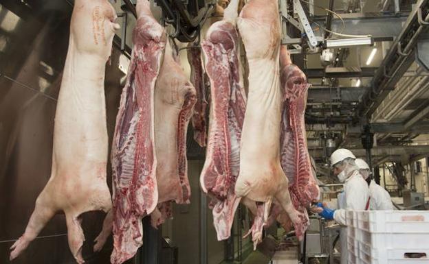 Un empleado de limpieza de Carnes Selectas podría perder el brazo tras sufrir un atrapamiento por una máquina del matadero