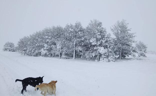 El temporal de nieve sigue dificultando el tráfico en la provincia