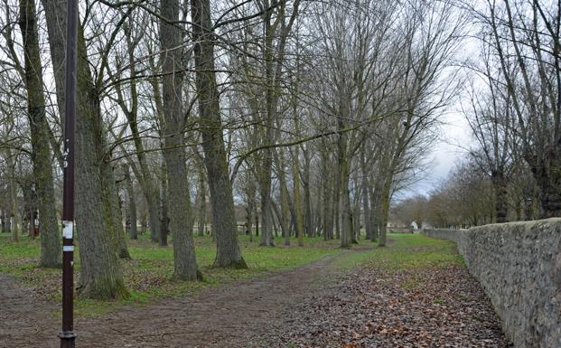 El cerramiento de El Parral y la remodelación de la calle Alfonso VIII, acciones prioritarias para el Ayuntamiento