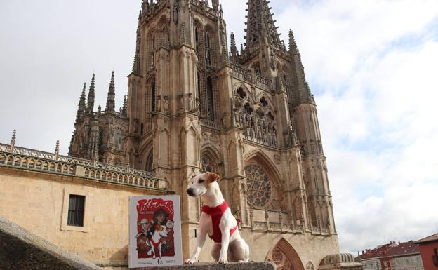 El perro 'influencer' Pipper proyecta en Burgos su cómic, ambientado en la capital