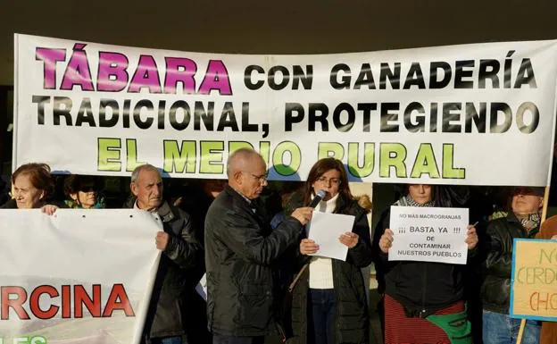 Los exteriores de las Cortes, escenario de la protesta contra los proyectos de macrogranjas porcinas en Tábara (Zamora)