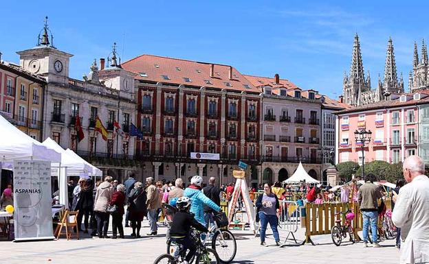 Las 27.000 familias numerosas de Castilla y León ya pueden solicitar la renovación del título de manera telemática