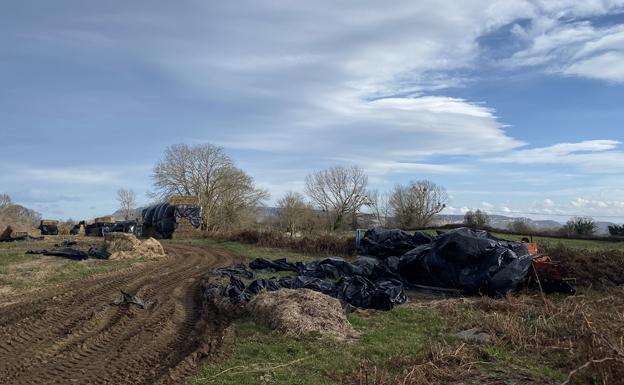 Espinosa de los Monteros facilita a los ganaderos la recogida de plásticos de sus explotaciones