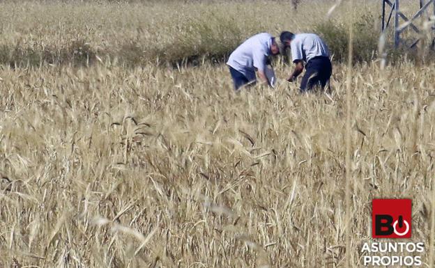 Nuestra 'despensa' está harta de agravios