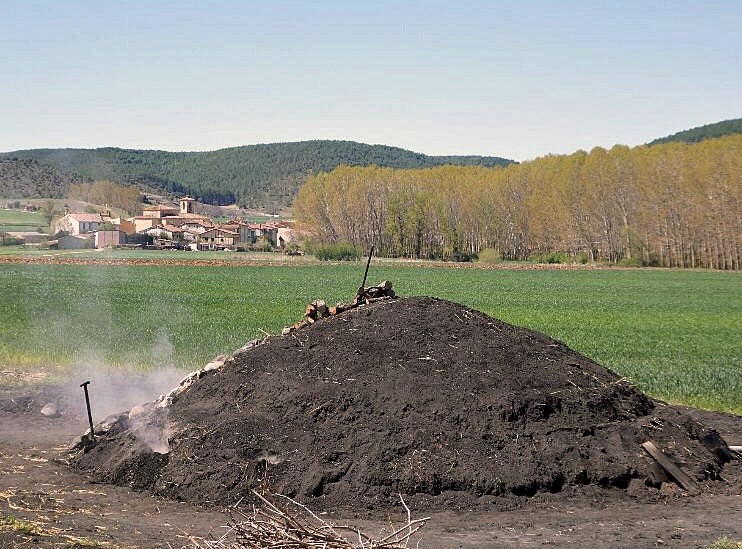 Los últimos carboneros de Retuerta