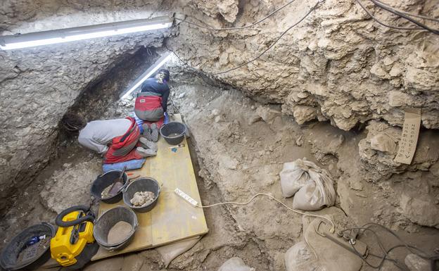 La cueva de El Mirador de Atapuerca aporta nuevos datos sobre los inicios de las prácticas agrícolas y ganaderas en la Meseta