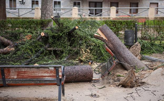 Seis provincias de Castilla y León en alerta amarilla por riesgo de viento