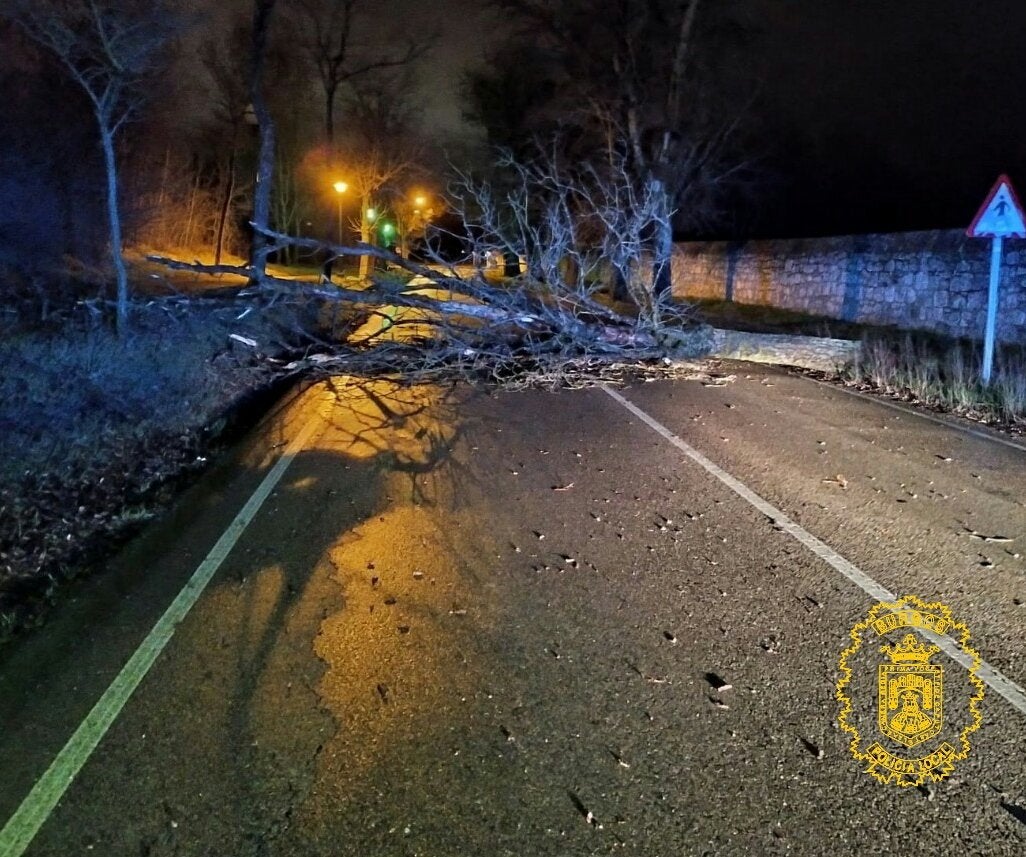 El temporal de viento provoca más de 60 emergencias en Burgos