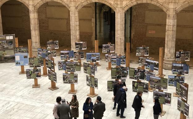 Una exposición para mostrar los resultados del programa de voluntariado ambiental de La Fundación Caja de Burgos y la Obra Social 'la Caixa'