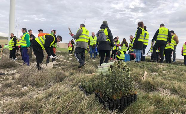 Vecinos de Los Balbases plantan 400 árboles gracias a la donación de la San Silvestre