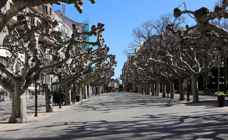 Aranda experimenta un repunte de positivos y no descarta alcanzar la veintena en esta jornada