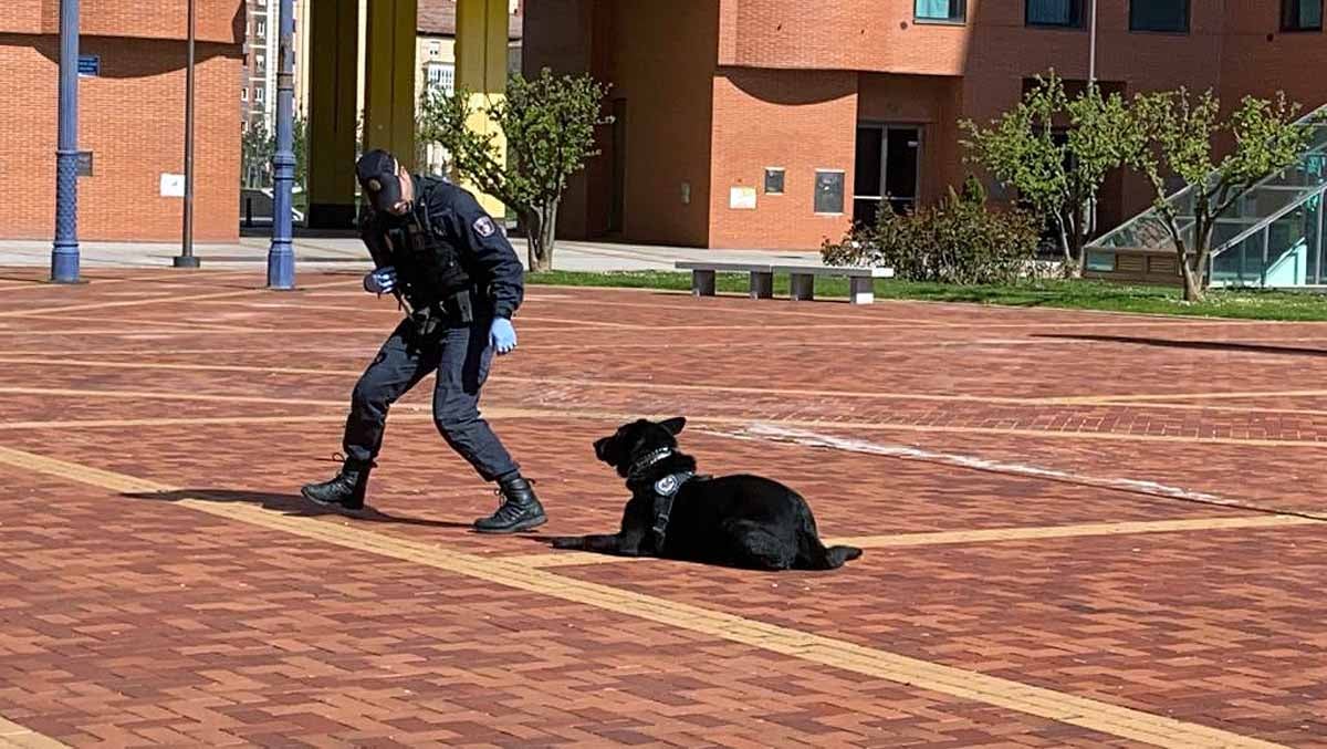 La Unidad Canina de la Policía Local sorprende a los vecinos de Burgos