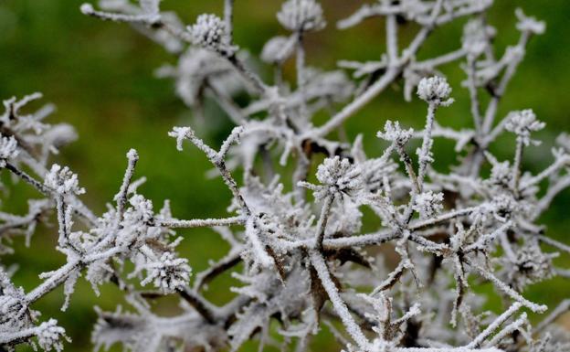 Castilla y León registra las seis temperaturas más bajas del país la pasada madrugada