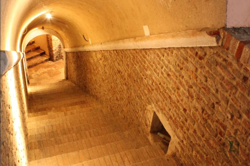 Un recorrido por el interior de la bodega